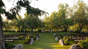 Terra by Trademark Wedding Officiant San Diego Wedding Officiant | Vows From The Heart | ©True Photography